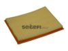 GM 25062487 Air Filter